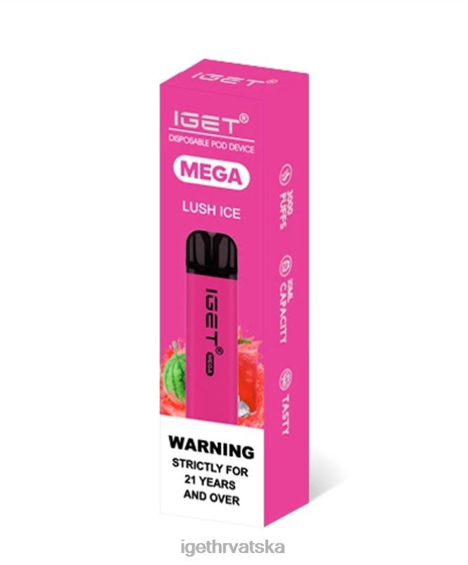 IGET Store mega 2FJ6D132 bujni led