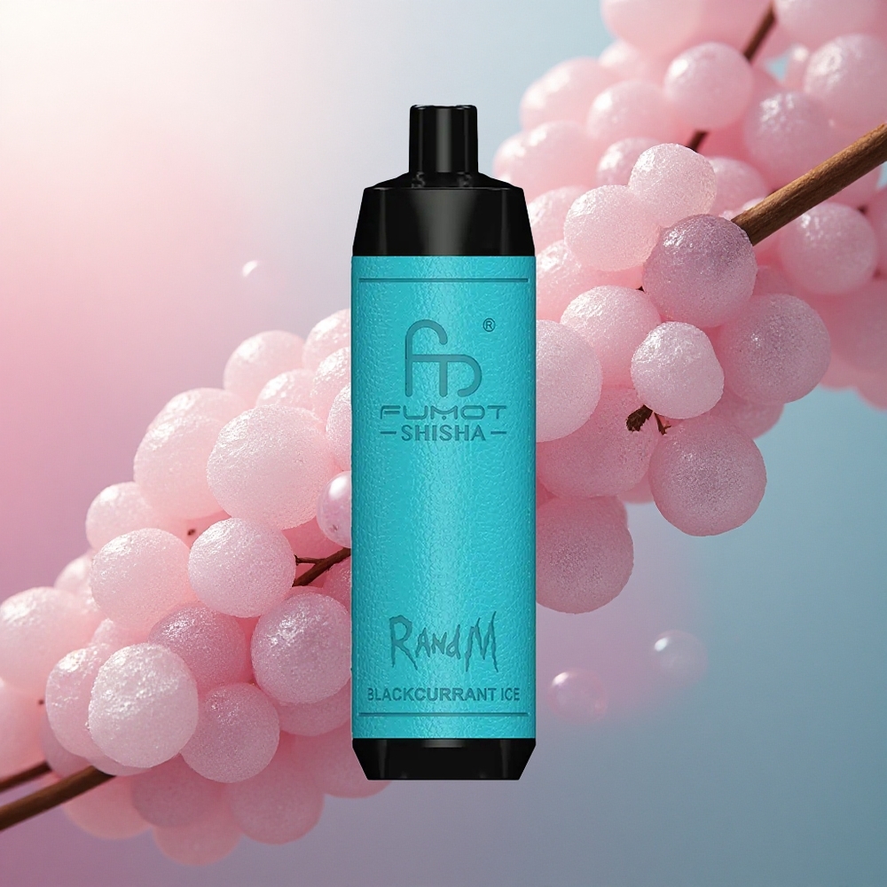 RandM Fumot Shisha 10000 Puffs Crni Ribizl Led s 0,6ohm Mesh i 850 mAh